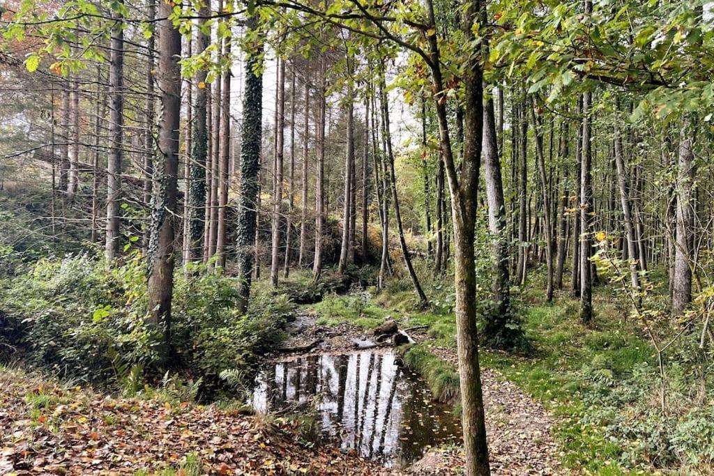 Forest Retreat- Serene 160M2 With Forest Views Wermelskirchen Exterior foto